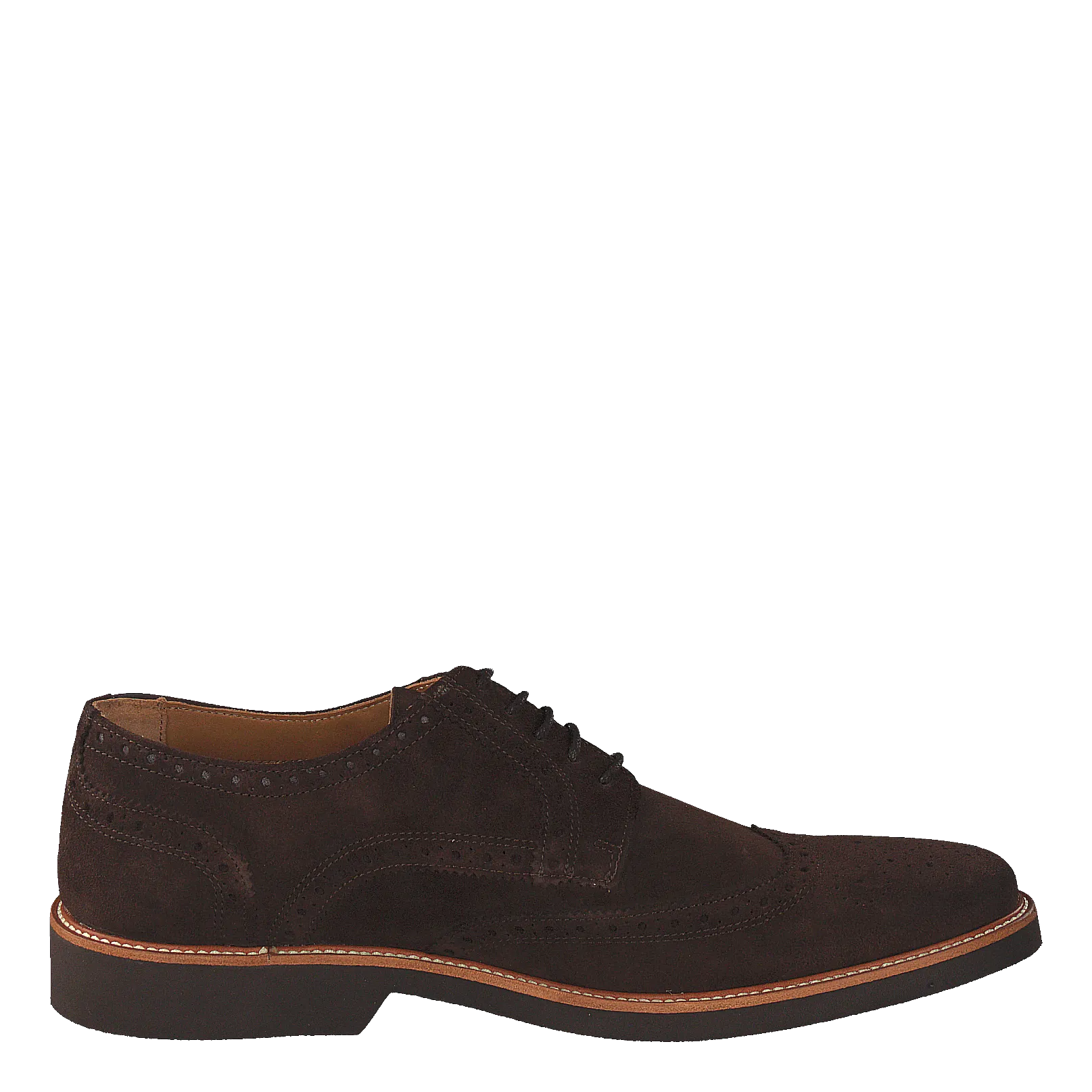 Derby Wilson Dk Brown Suede
