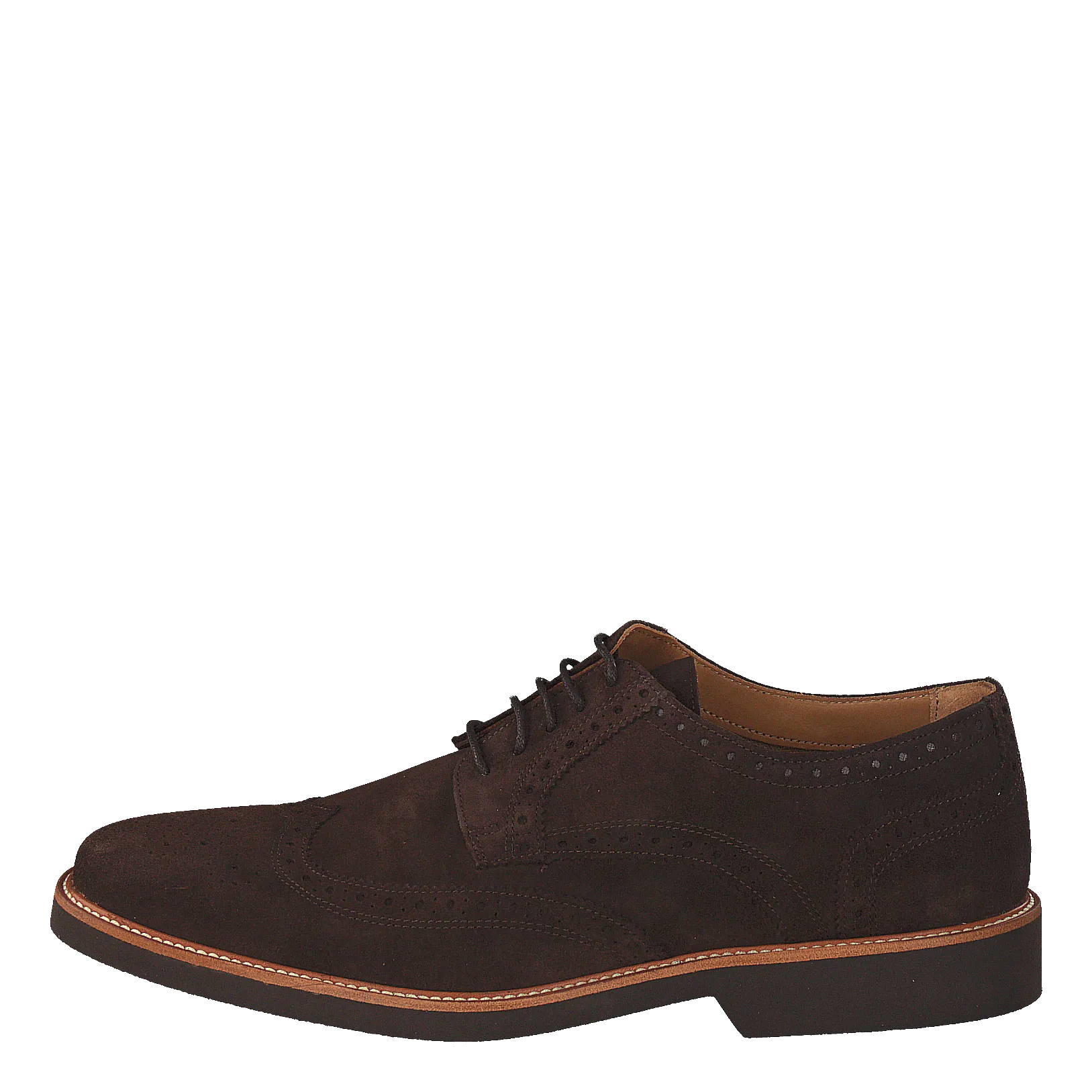 Derby Wilson Dk Brown Suede